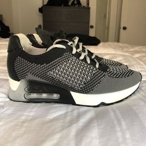 Ash Lucky Knit Sneakers